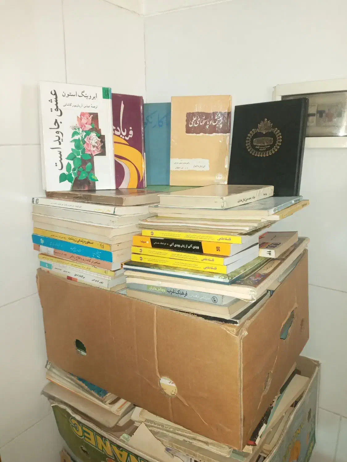 کتابهای نایاب و کمیاب|کتاب و مجله تاریخی|شیراز, باغ تخت|دیوار