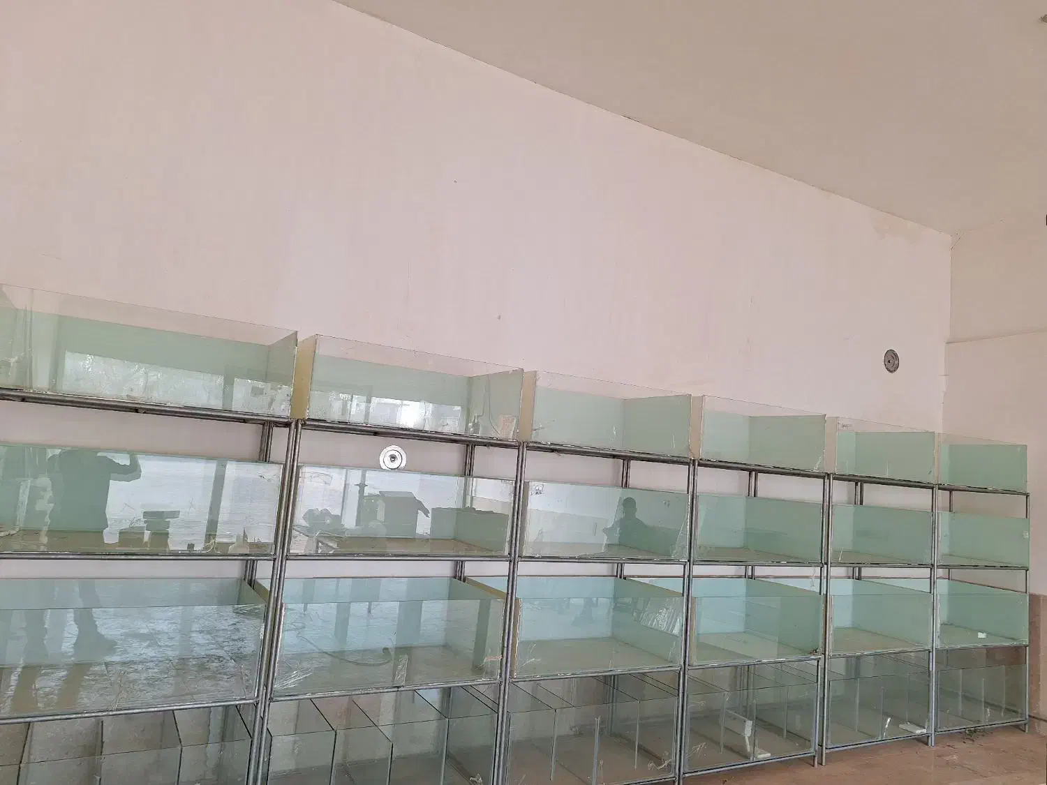 تجهیزات کامل سالن تکثیرماهی زینتی|ماهی|اردبیل, |دیوار