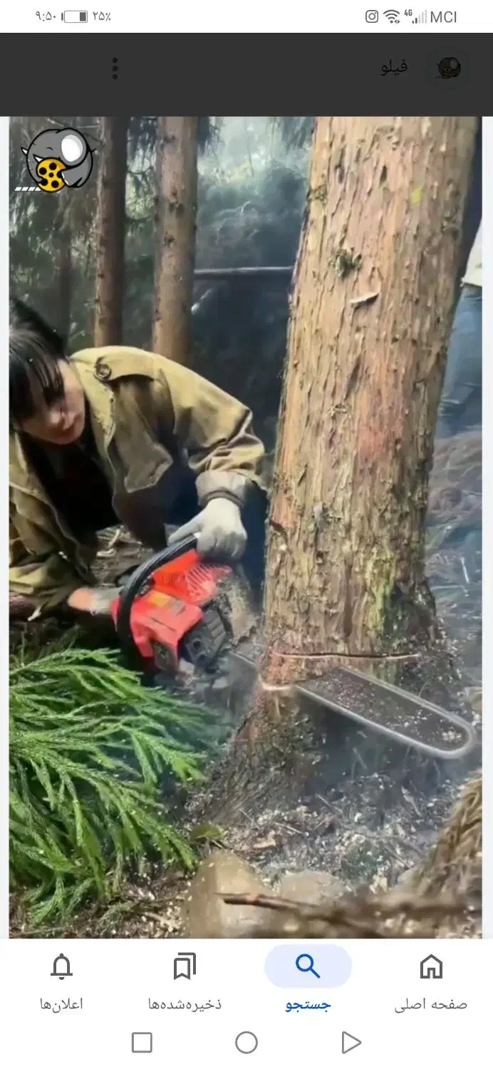 خریدوفروش انواع درختان خشک وتر وهرس درختان|خدمات باغبانی و درختکاری|قم, کلهری|دیوار