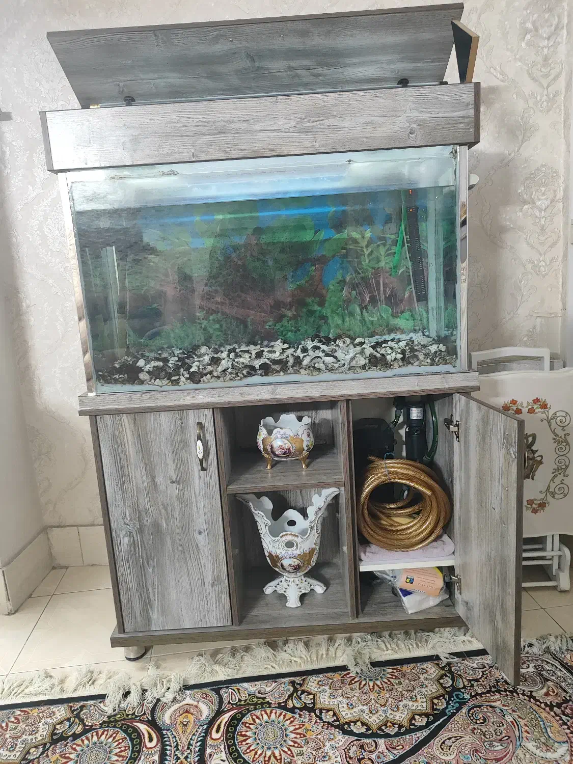 آکواریوم|ماهی|ری, ظهیرآباد|دیوار