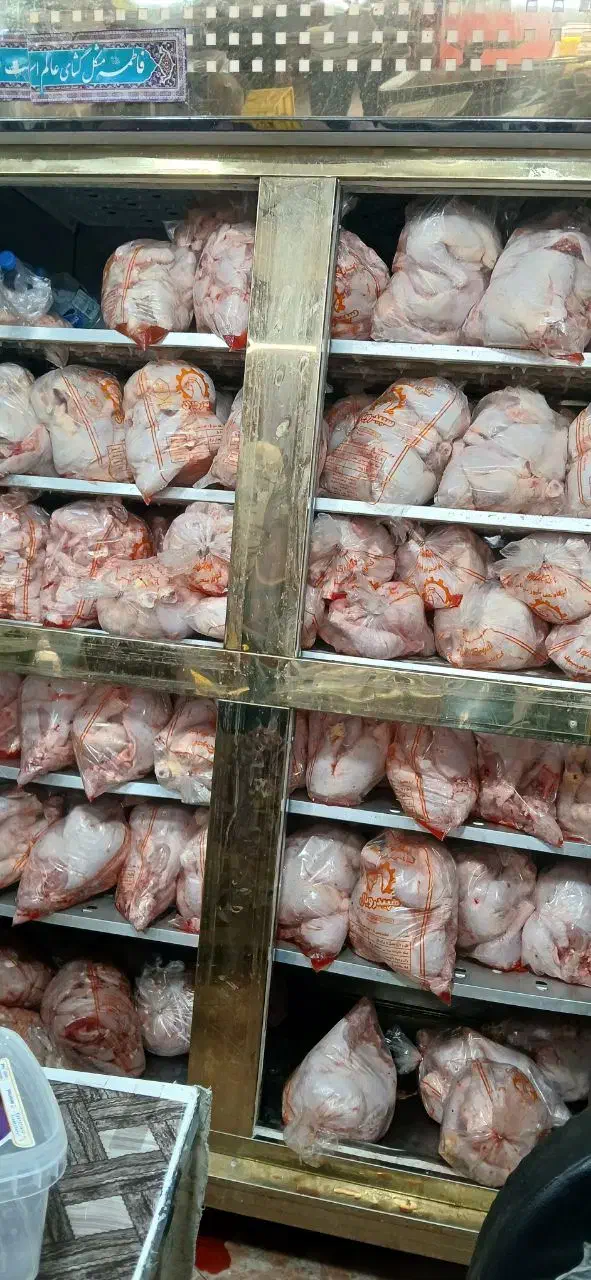 کالابرگ مرغ ماهی،بوقلمون۳۱۰،گوشت منجمد|خوردنی و آشامیدنی|ساوه, |دیوار