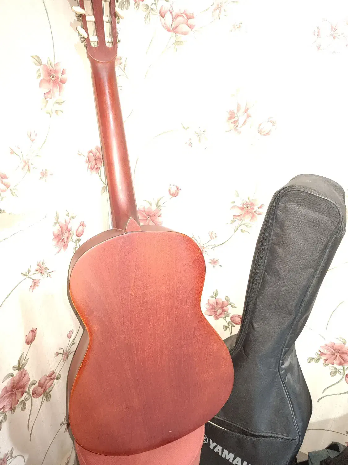 گیتار متاع پور|گیتار، بیس، امپلیفایر|لاهیجان, کوی استادان|دیوار