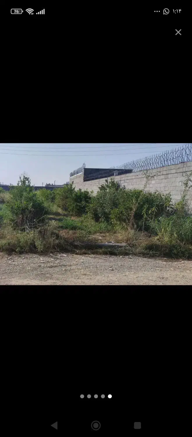 زمین باغی|فروش زمین و ملک کلنگی|دزفول, |دیوار