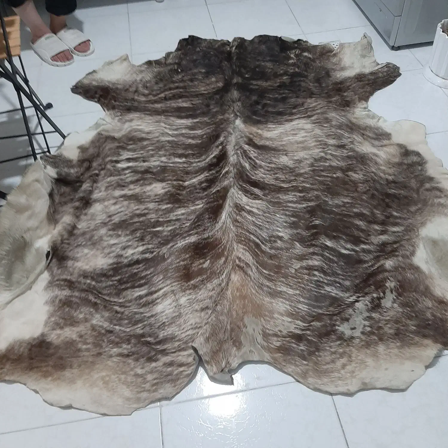 پوست گاو طبیعی|گلیم، جاجیم، گبه|تهران, نبی اکرم|دیوار