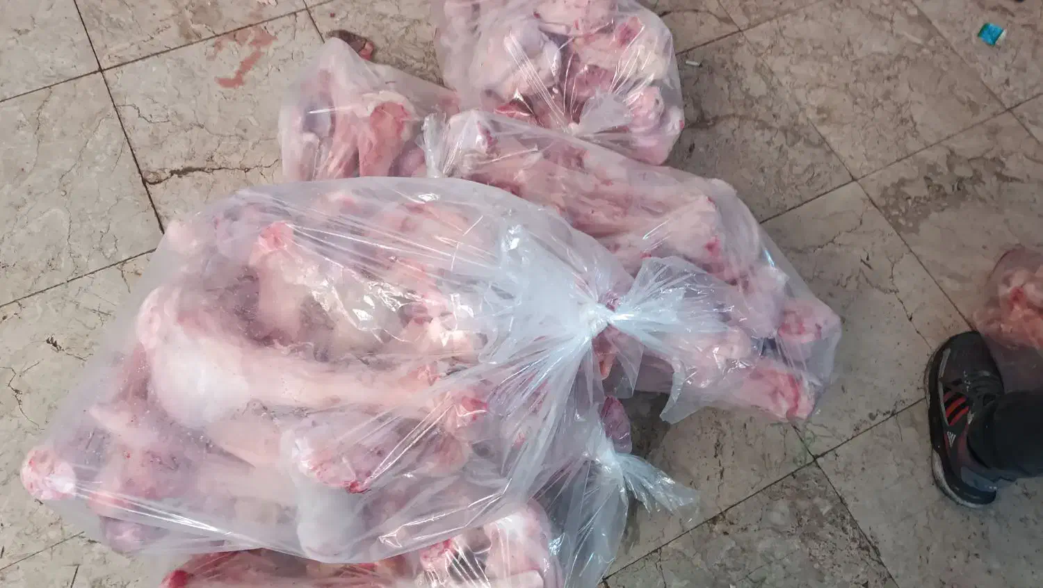 قلم گوساله تازه .کوهان شتر. کلی و جزعی|خوردنی و آشامیدنی|مشهد, مصلی (کارمندان اول)|دیوار