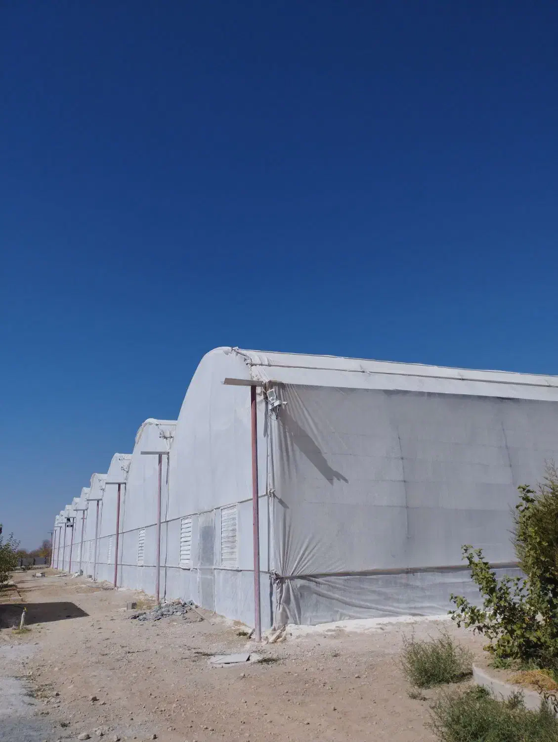 استخدام|استخدام صنعتی، فنی، مهندسی|گندمان, |دیوار