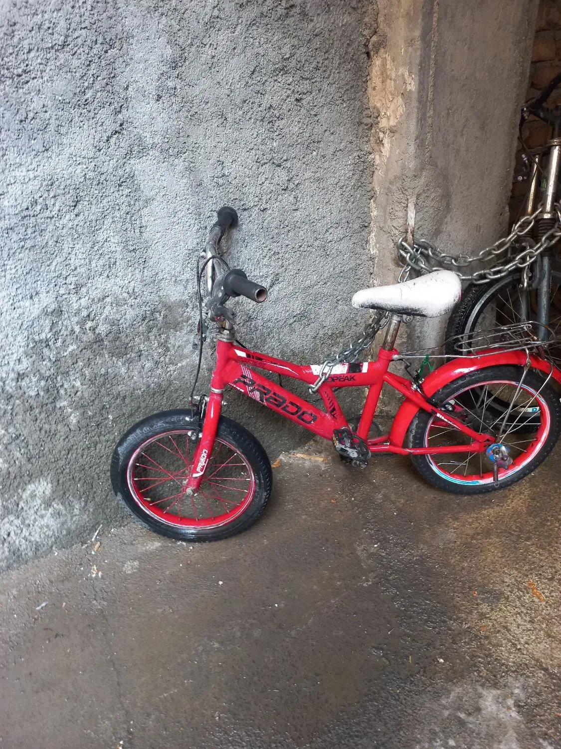 دوچرخه ۱۶|دوچرخه، اسکیت، اسکوتر|باغستان, |دیوار