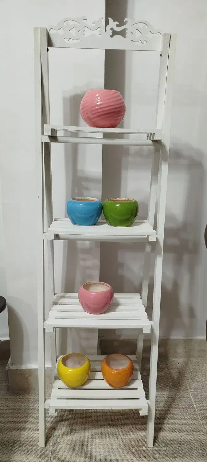 استند گل|گل و گیاه طبیعی|طاهرگوراب, |دیوار