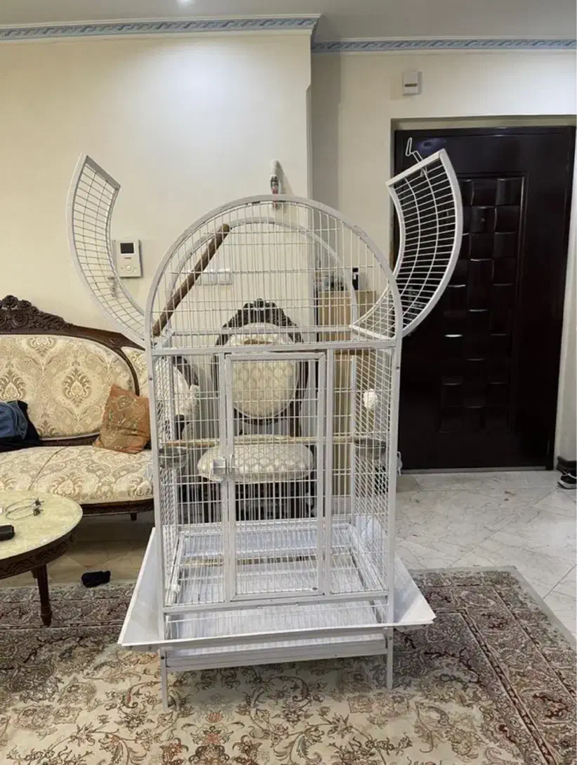 قفس بزرگ طوطی سانان|لوازم جانبی حیوانات|گرمسار, |دیوار