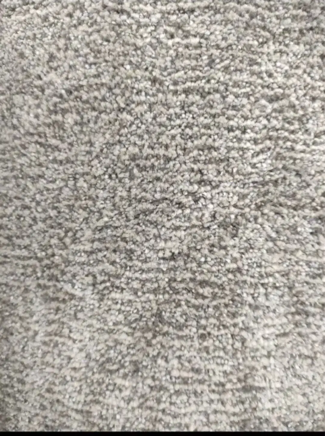 پالازموکت پرزبلند موکت تندیس ۲۱۲۸|موکت|قم, شاه ابراهیم|دیوار