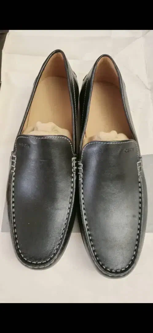 کفش کالج مردانه|کیف، کفش، کمربند|کرج, باغستان|دیوار