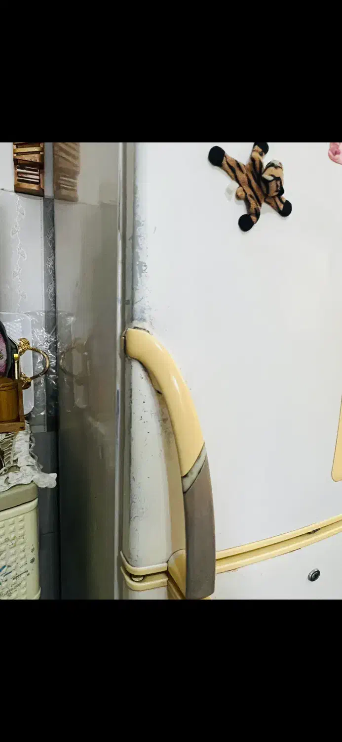 یخچال فریزر ال جی|یخچال و فریزر|رشت, حمیدیان|دیوار