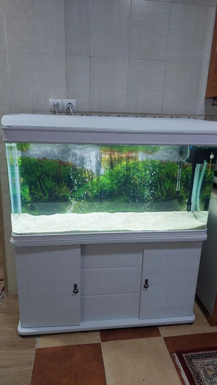 اکواریوم  یک متر و بیست  سانت دلسا|ماهی|اهواز, کوی طالقانی|دیوار