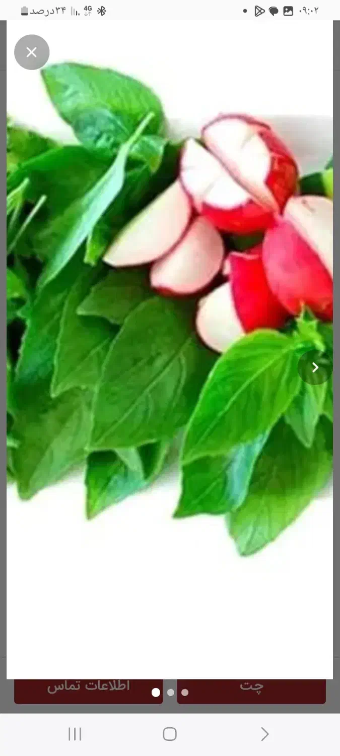 سبزی تازه ۲۵ هزار|خوردنی و آشامیدنی|خلخال, |دیوار