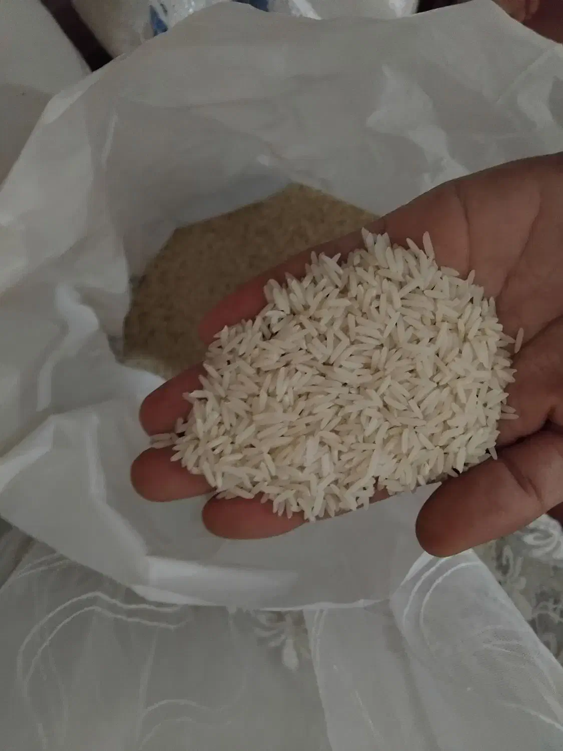 برنج هاشمی و صدری تضمینی به شرط|خوردنی و آشامیدنی|کوچصفهان, |دیوار