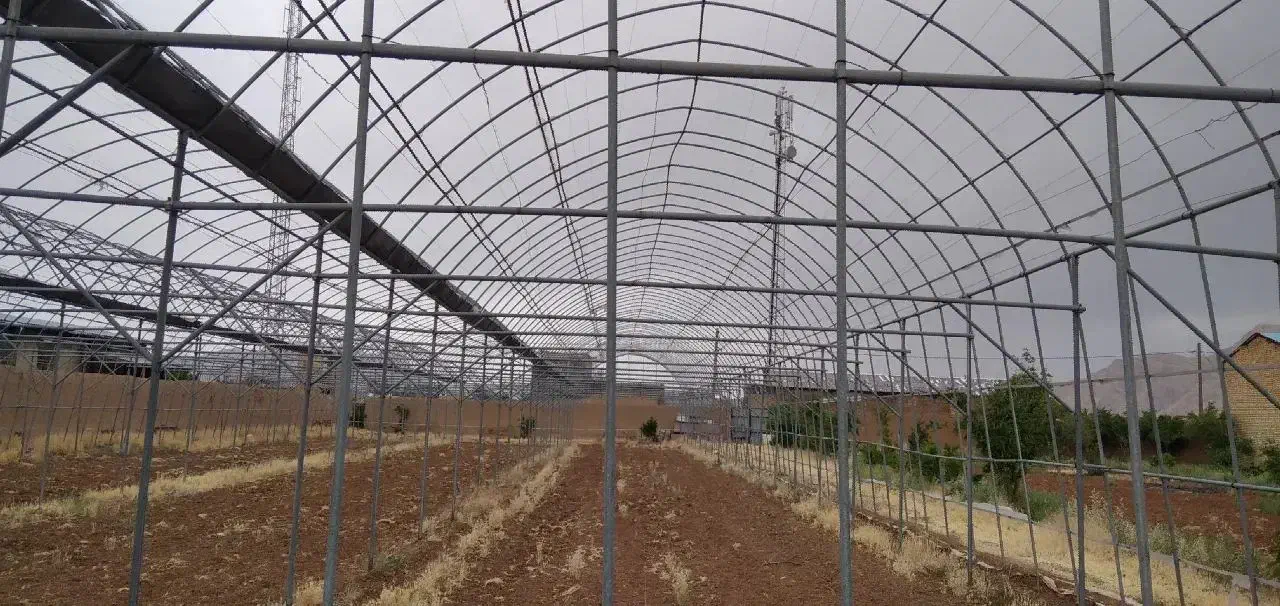 گلخانه|فروش دفتر صنعتی، کشاورزی، تجاری|شهرضا, |دیوار