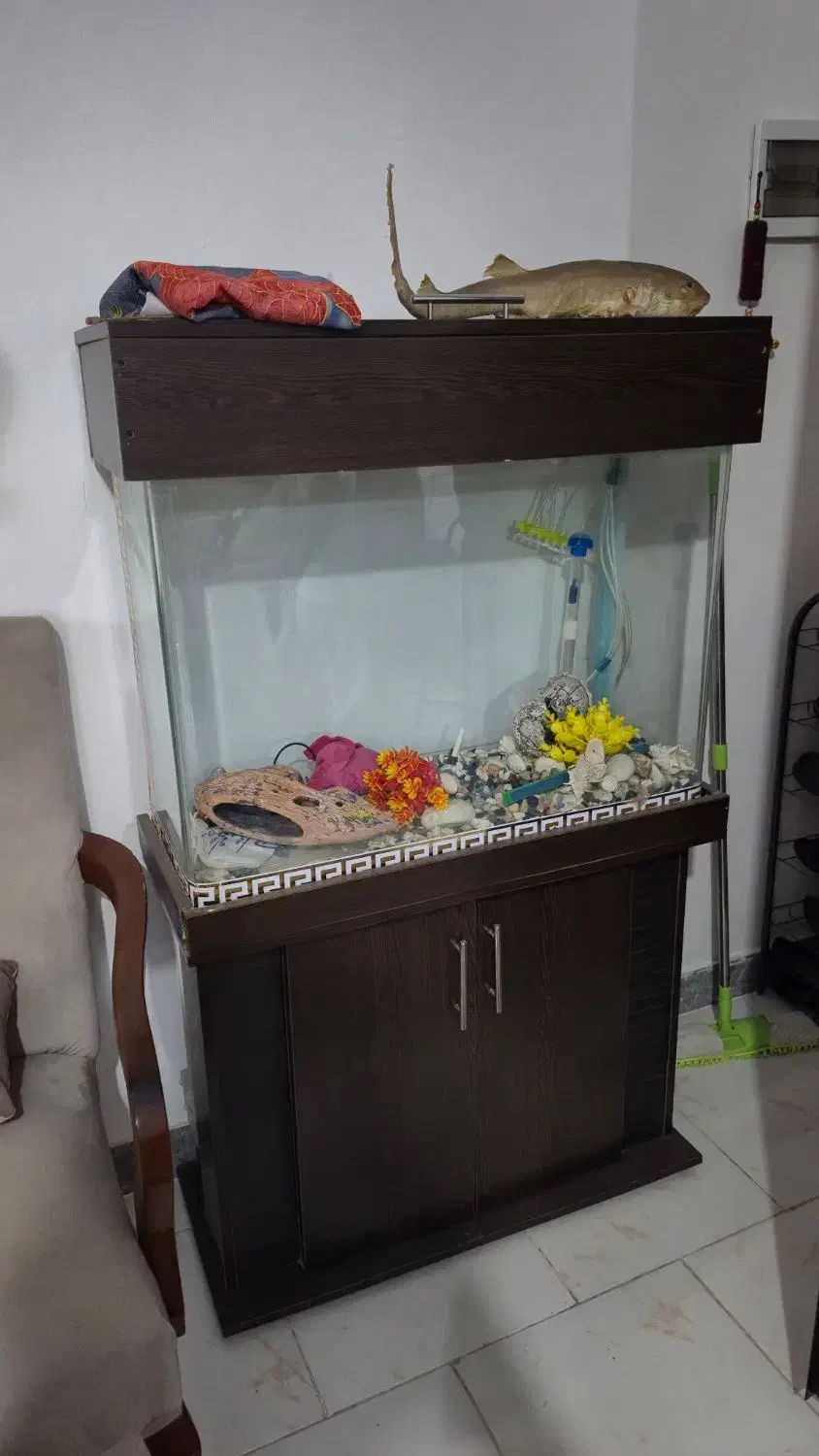 اکواریوم خارجی یک تیکه خم با کمد لوازم|ماهی|هشتگرد, فاز ۱ مهستان|دیوار