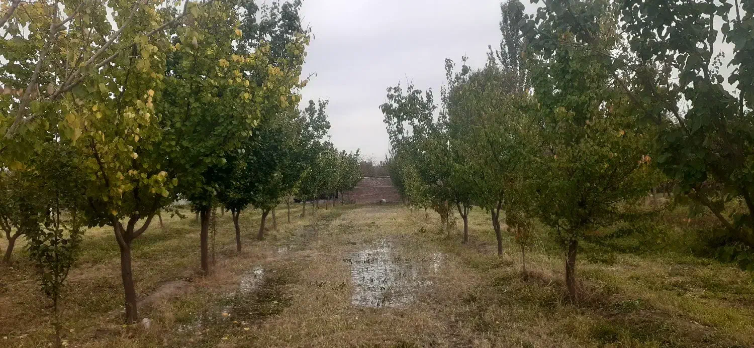 فروش باغ ۱۰۰۰ متر|فروش دفتر صنعتی، کشاورزی، تجاری|کشکسرای, |دیوار