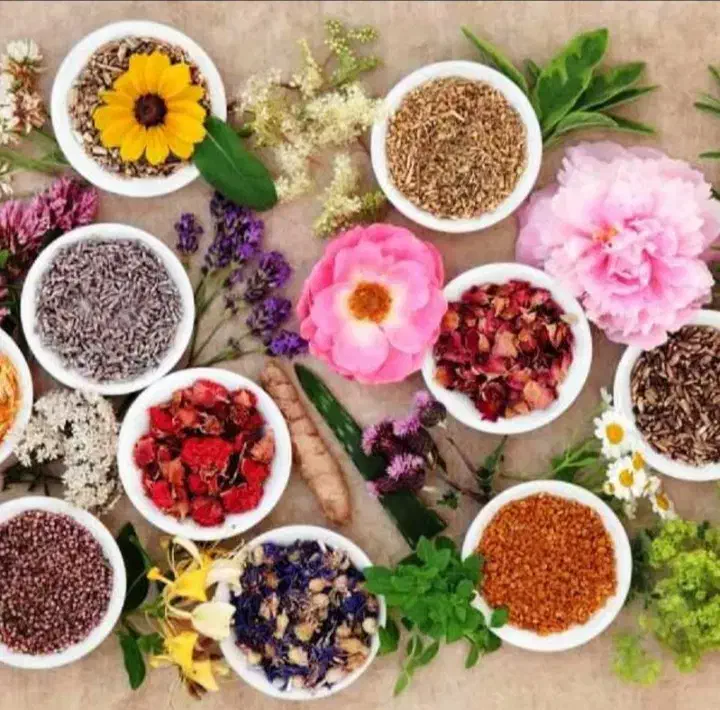 فرصت بی نظیر برای آموزش طب سنتی ودرمان های طبیعی|خدمات آموزشی|اصفهان, کوی امیریه|دیوار