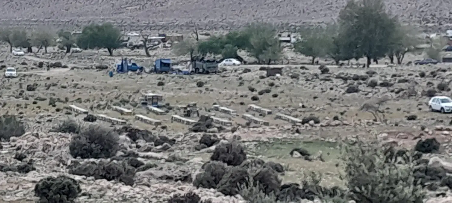 زنبور عسل ۵ -۶-۷قاب|حیوانات مزرعه|ششده و قره بلاغ, |دیوار