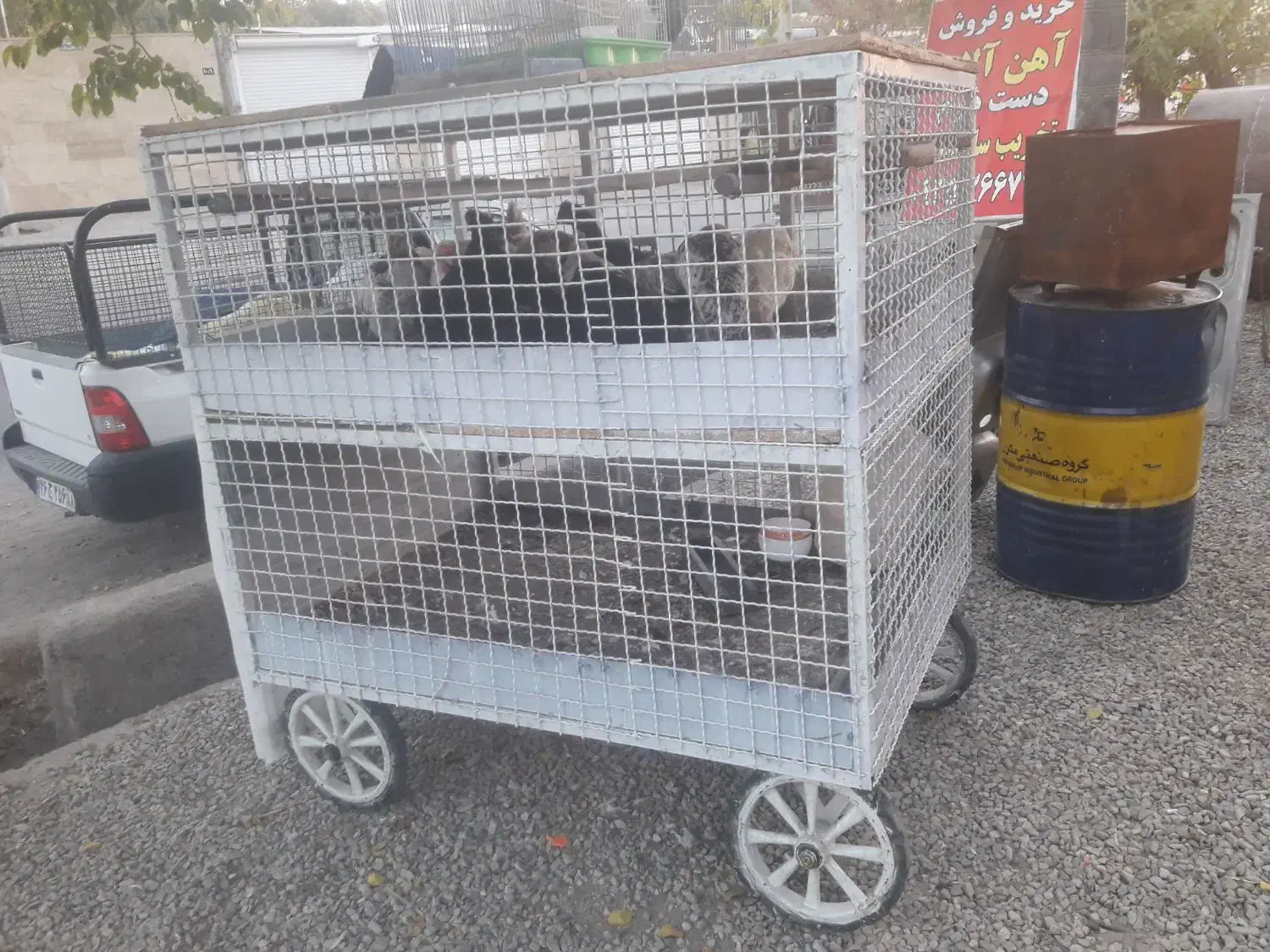 قفس مرغی دو طبقه|لوازم جانبی حیوانات|بومهن, |دیوار