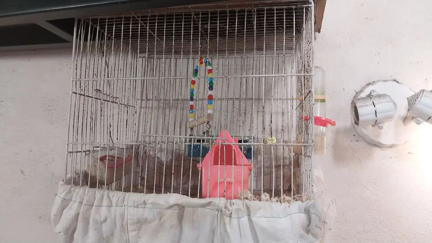 لانه مرغ و قفس پرنده|حیوانات مزرعه|رشت, حومه رشت|دیوار