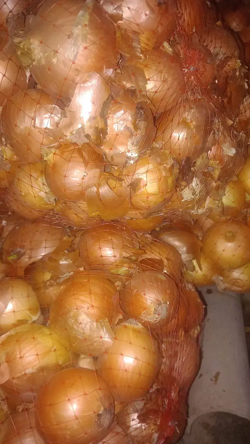 پیاز|عمدهفروشی|دورود, |دیوار