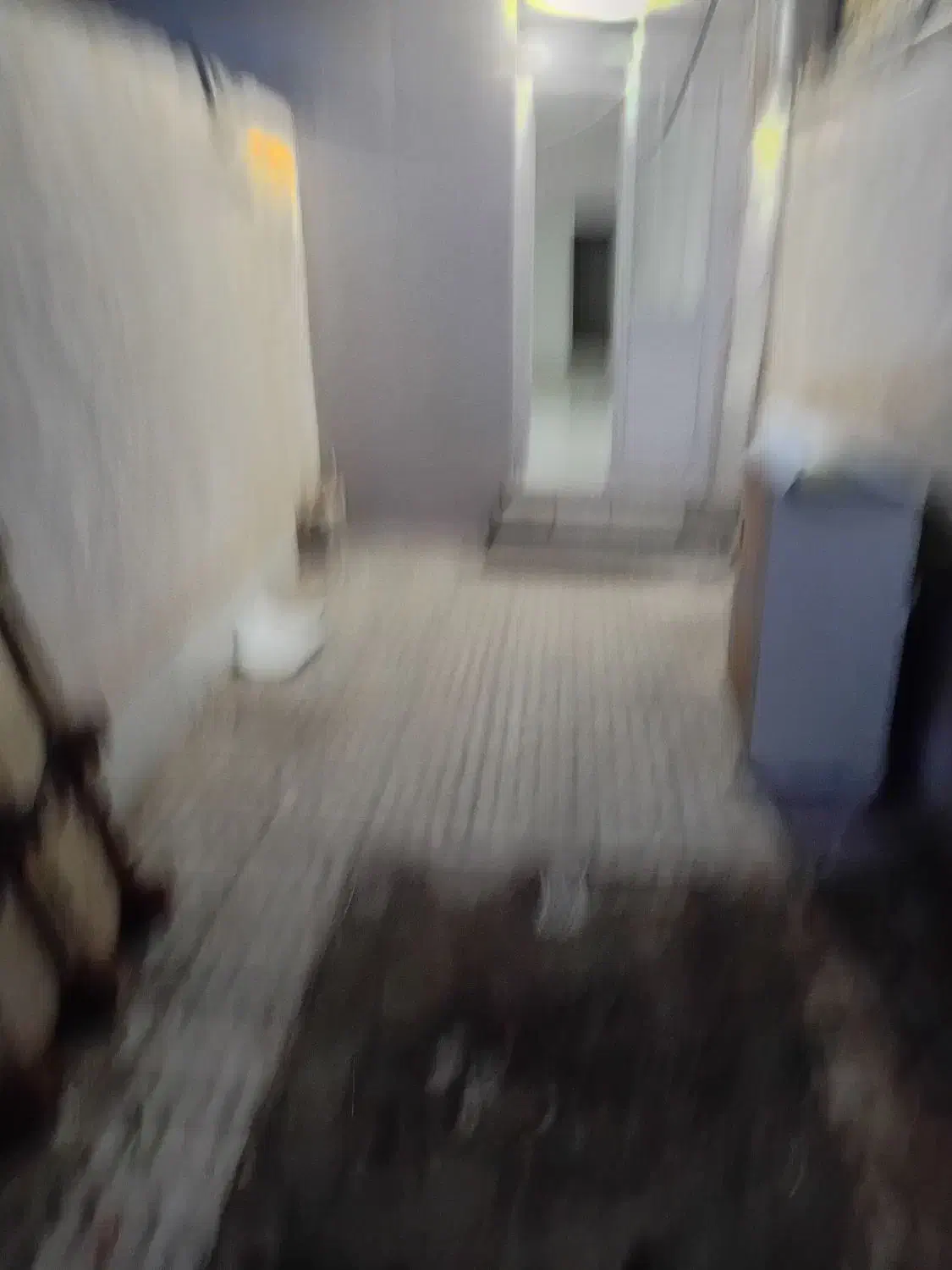 رهن|اجارهٔ خانه و ویلا|قوچان, |دیوار