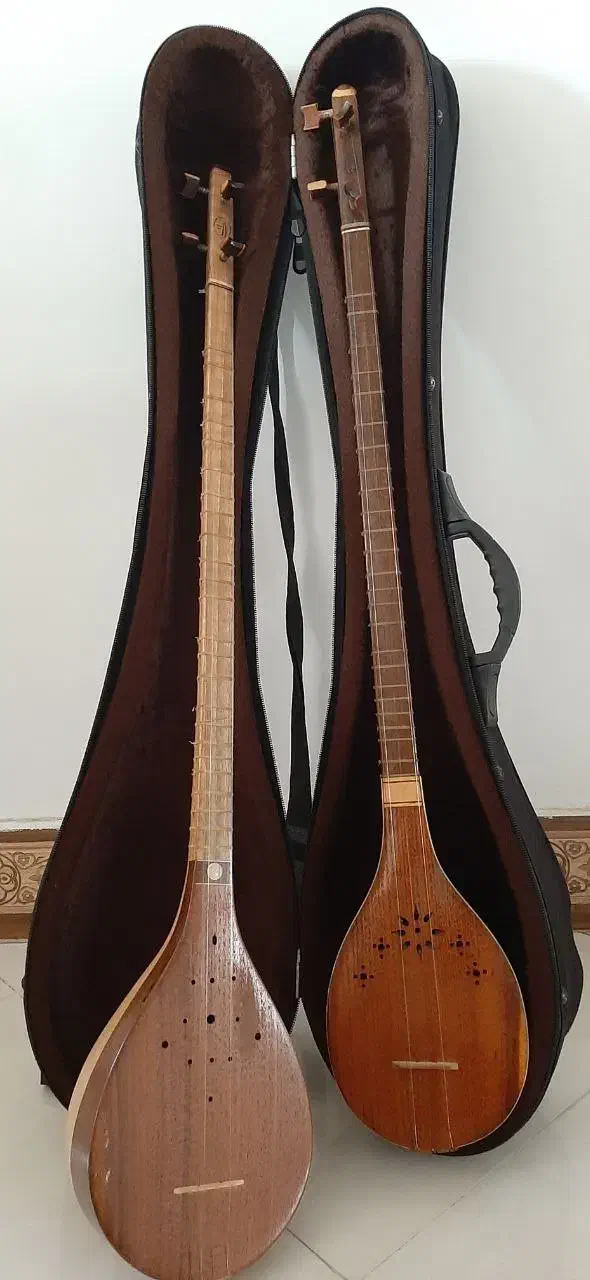 سه تار(۲ عدد)+ کتاب و تیونر|سازهای سنتی|تهران, فلسطین (میدان انقلاب)|دیوار