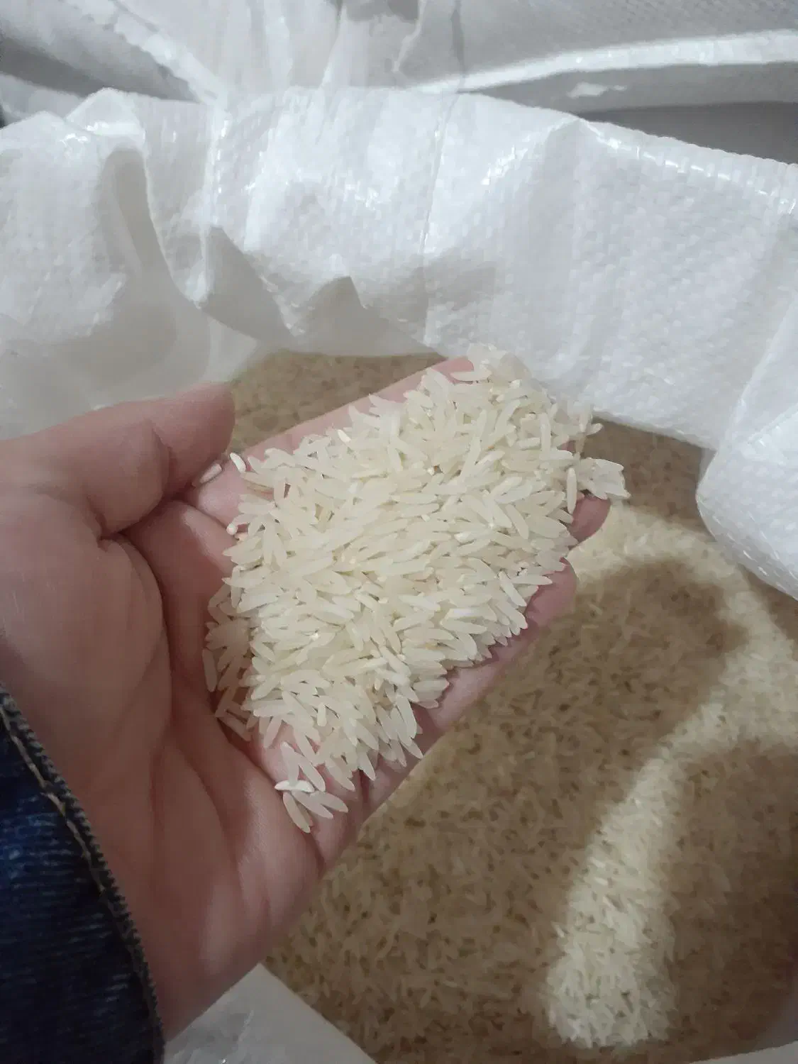 برنج فجر سوزنی اعلا|خوردنی و آشامیدنی|علیآباد کتول, |دیوار