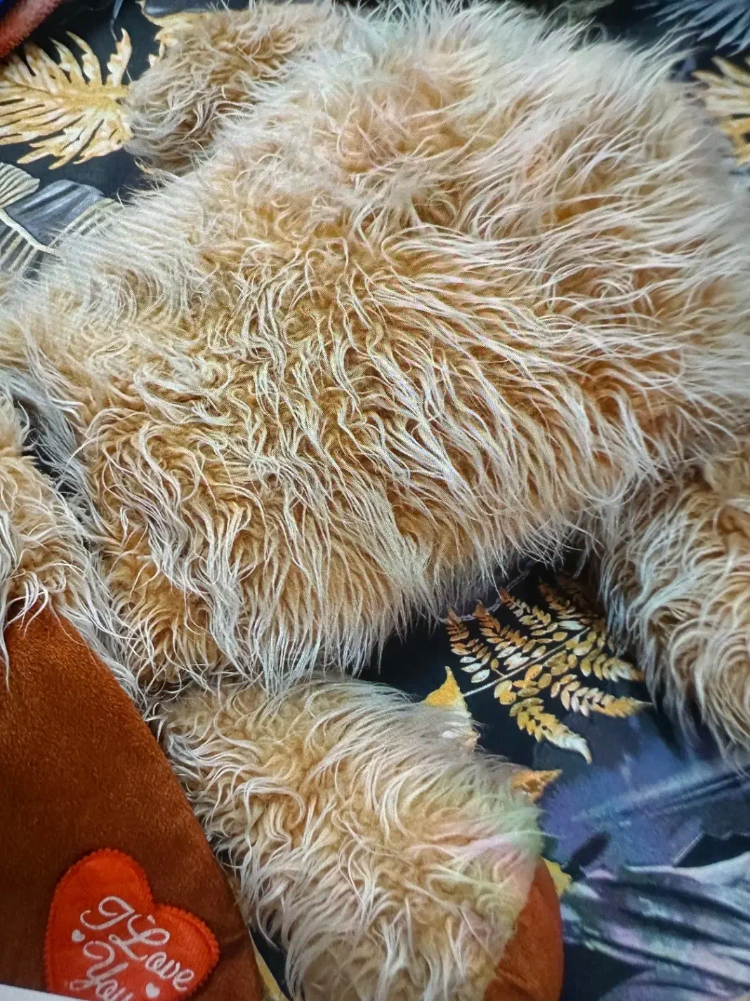 سگ بزرگ|اسباب‌‌بازی|بابل, |دیوار