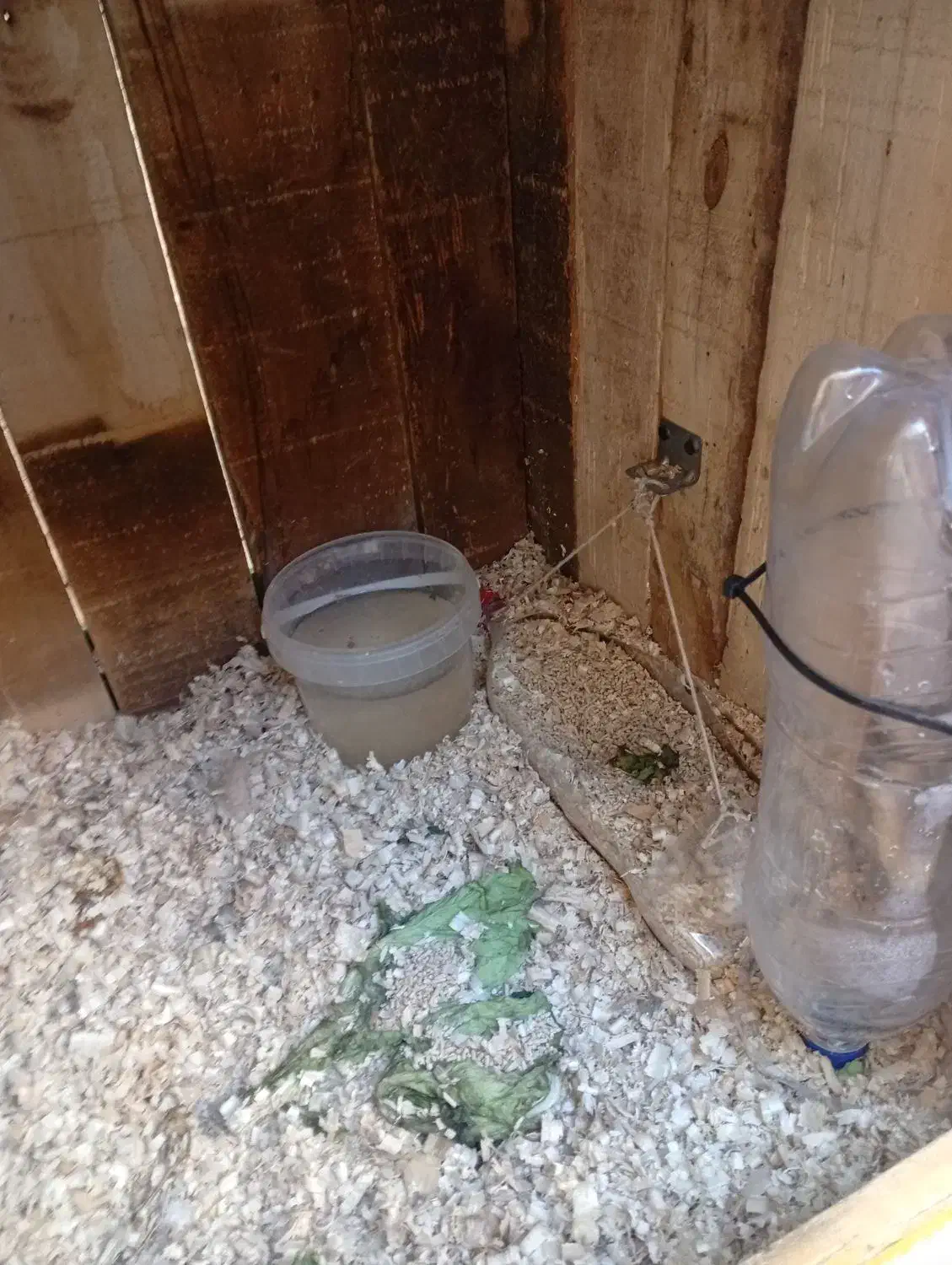 قفس  مناسب سگ . گربه . مرغ . بلدر چین .|لوازم جانبی حیوانات|خوی, |دیوار