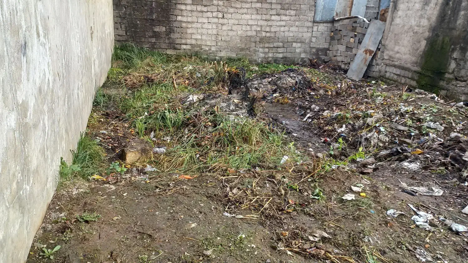 زمین|فروش زمین و ملک کلنگی|رشت, کوی فرهنگیان|دیوار