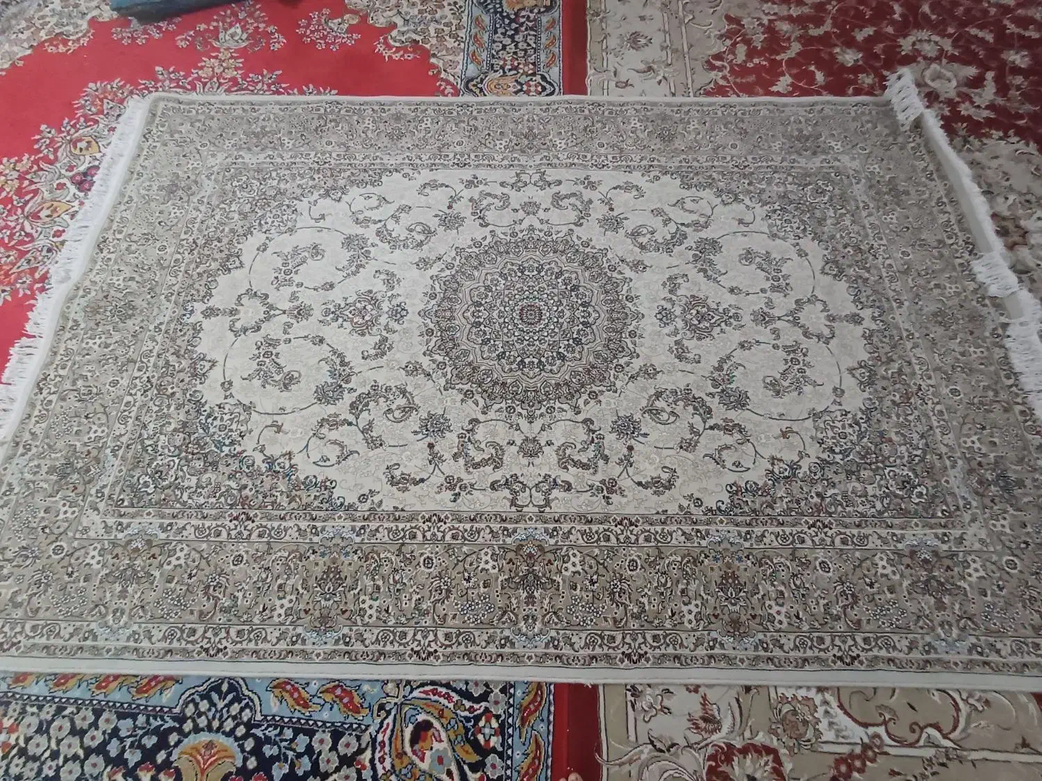 فرش نو|فرش|بجنورد, |دیوار