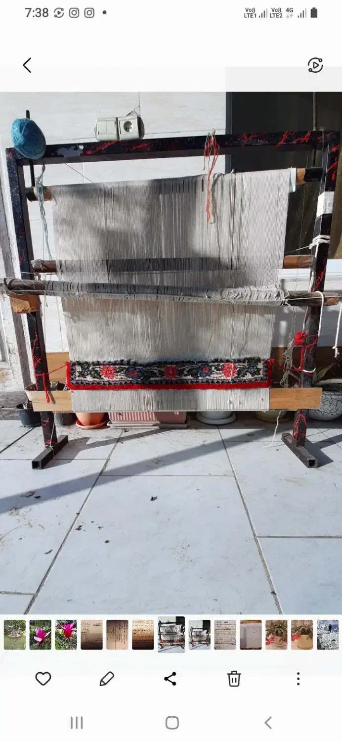 دار قالی فرش|فرش|قائم‌شهر, |دیوار