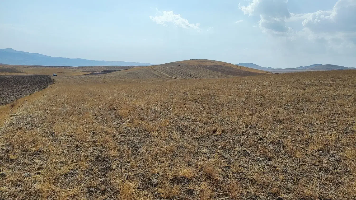 فروش زمین کشاورزی دیم|فروش دفتر صنعتی، کشاورزی، تجاری|میانه, |دیوار