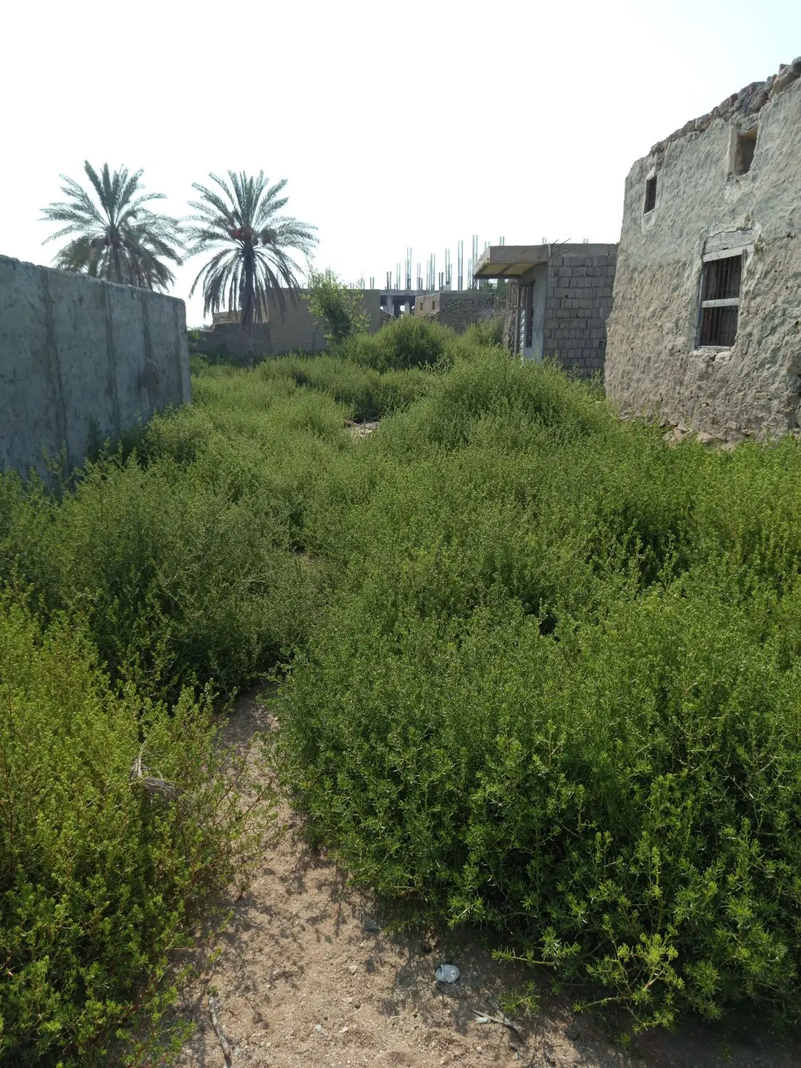 تصویر 2