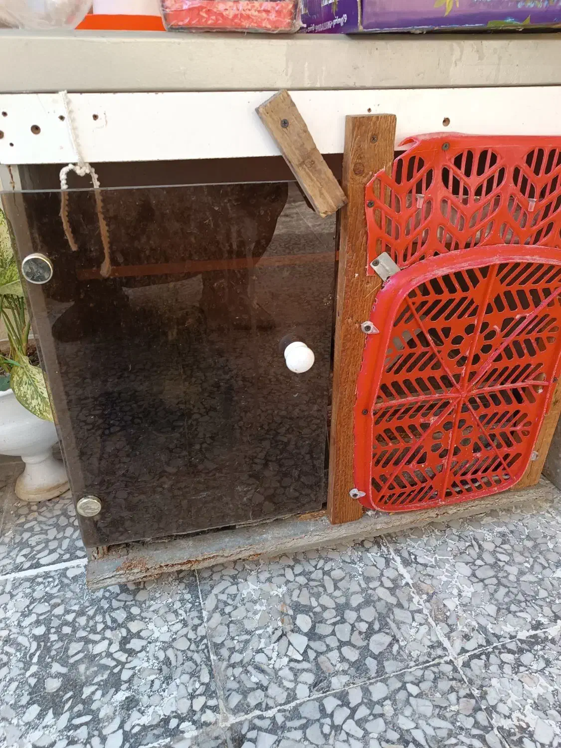 لوازم کبوتر و جفتگاه پرنده|لوازم جانبی حیوانات|لاهیجان, کوی زمانی|دیوار