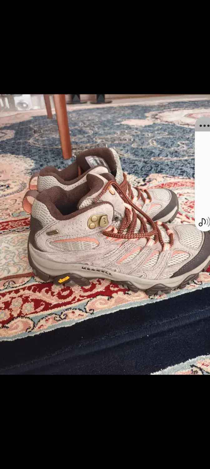 کفش|کیف، کفش، کمربند|شاهین‌شهر, طالقانی|دیوار