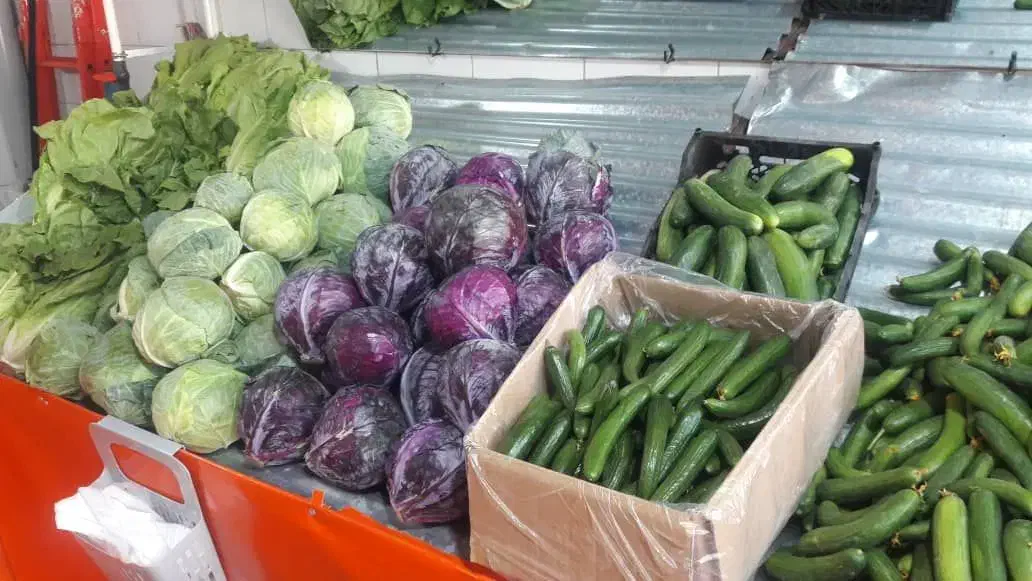 واگذاری مغازه میوه فروشی زیباشهر|اجارهٔ مغازه و غرفه|محمدیه-قزوین, |دیوار