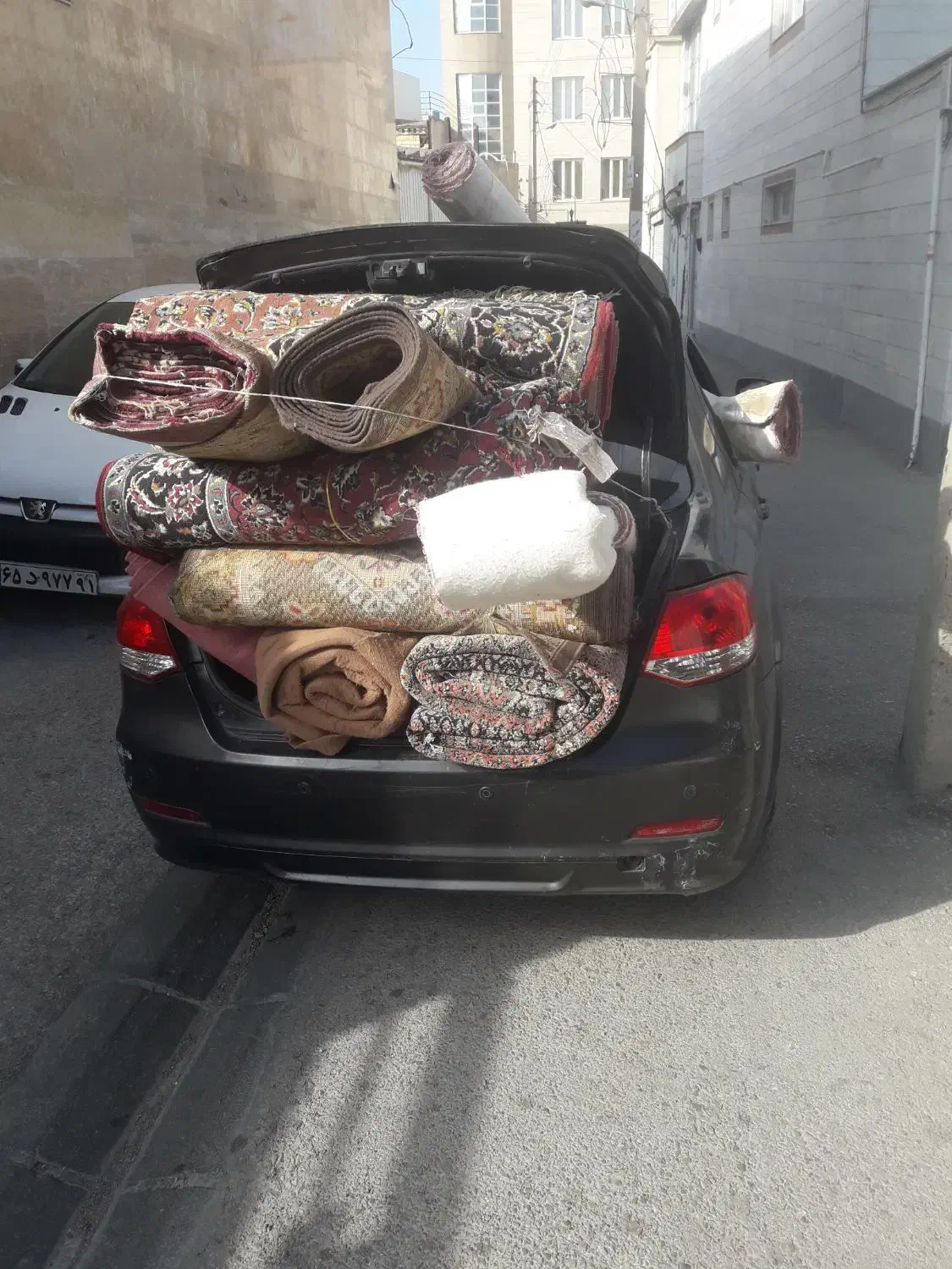 فرش و موکت دست دوم|فرش|اردبیل, |دیوار