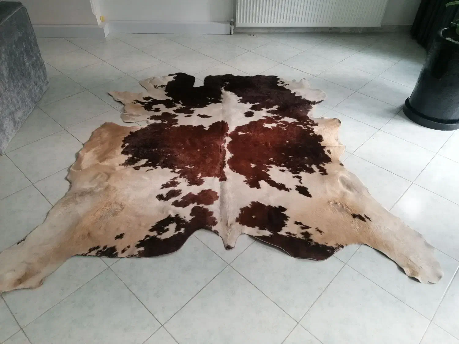 پوست گاو|فرش|مشهد, سجاد شهر|دیوار