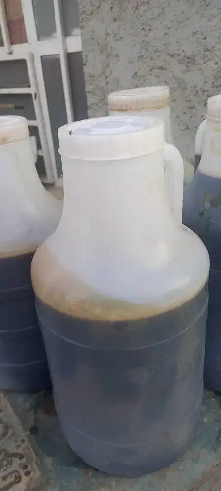 شیره خرما|خوردنی و آشامیدنی|وحدتیه, |دیوار