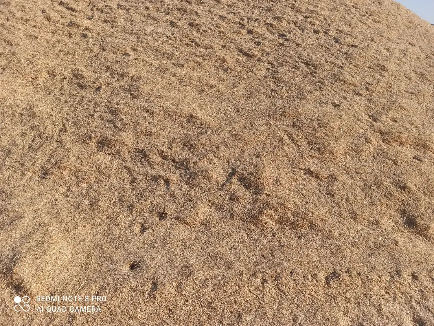 کاه گندم|حیوانات مزرعه|رباطکریم, رباطکریم|دیوار