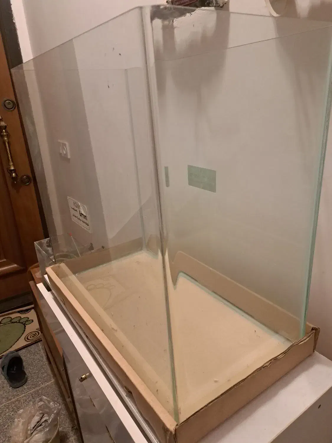 آکواریوم|ماهی|اسفراین, |دیوار