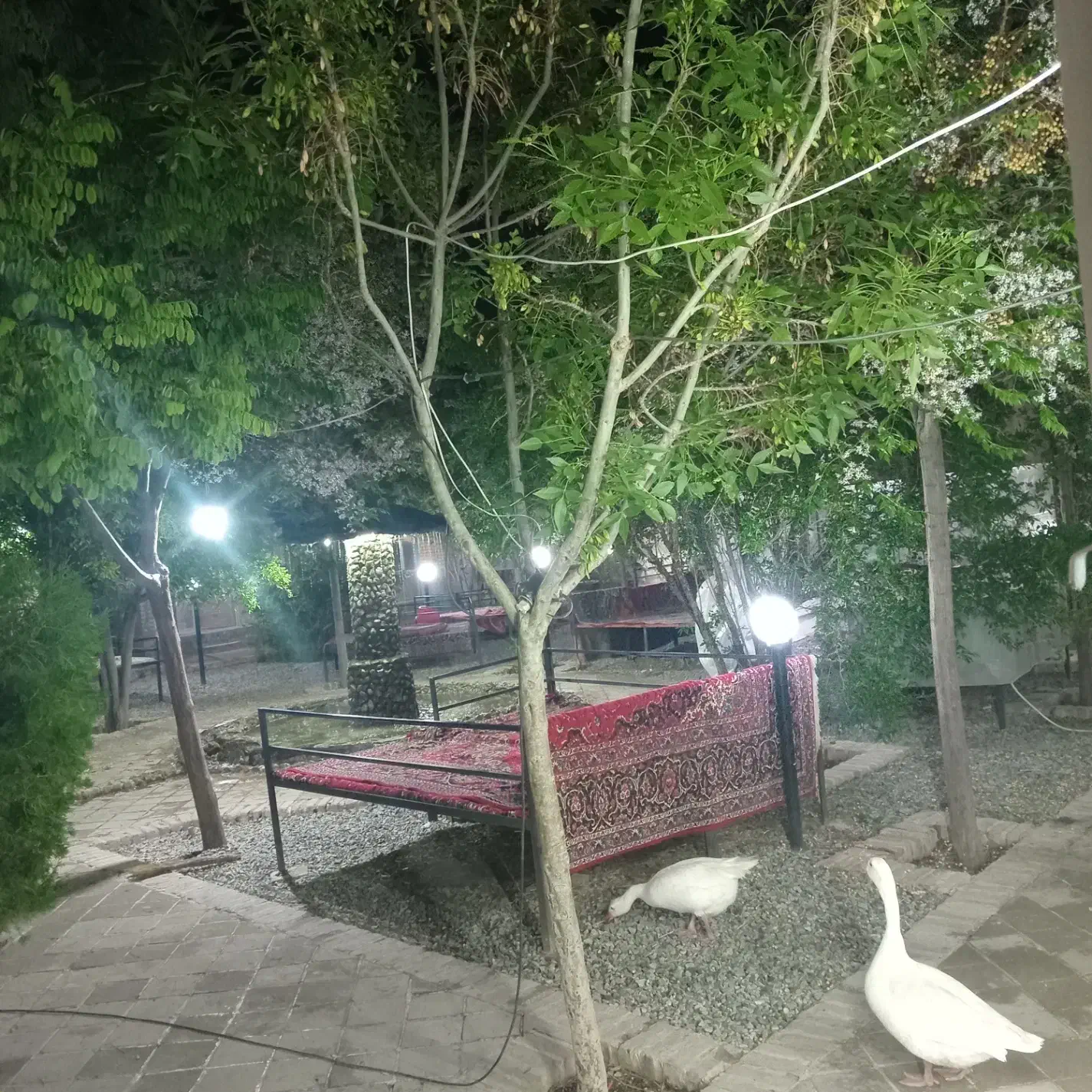 نیروی خانم جهت کار در آشپزخانه و ظرف شستن. ابارش|استخدام خدمات فروشگاه و رستوران|سبزوار, ابارش|دیوار