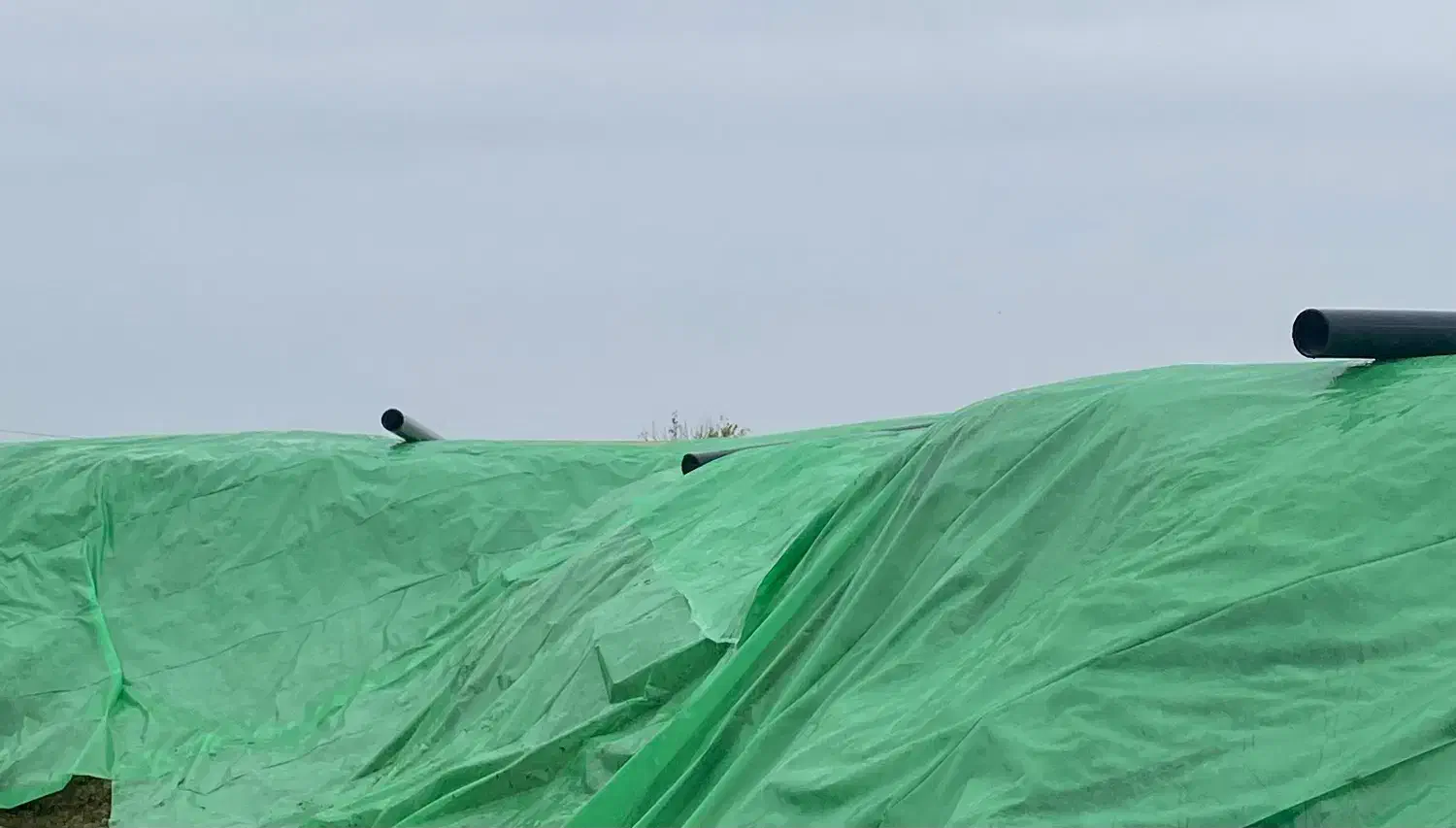 علوفه سیلوی|عمده‌فروشی|پارس‌آباد, |دیوار