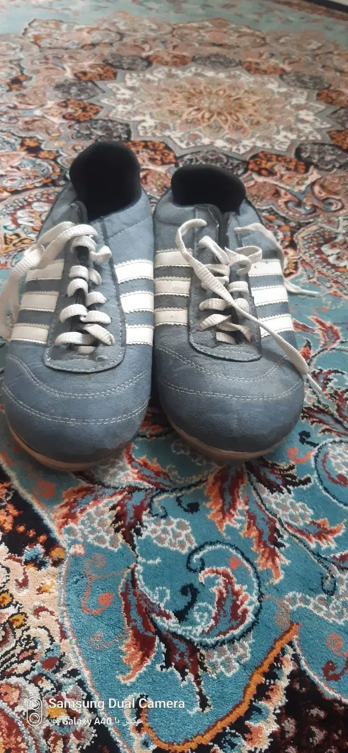 کفش سالنی|کیف، کفش، کمربند|قرچک, زیبا شهر|دیوار