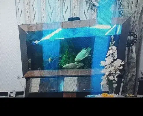 آکواریوم ماهی ام دی اف باپایه فلزی|ماهی|محلات, |دیوار