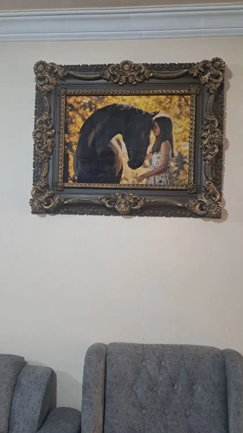 تابلو نو دونه ای ۵۰۰|تابلو فرش|پاکدشت, پاکدشت (مامازند)|دیوار